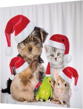 JoyArty Новогодние питомцы p_20310 (145x180)