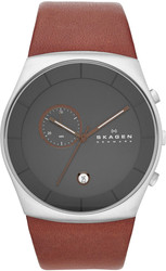 Наручные часы Skagen SKW6085