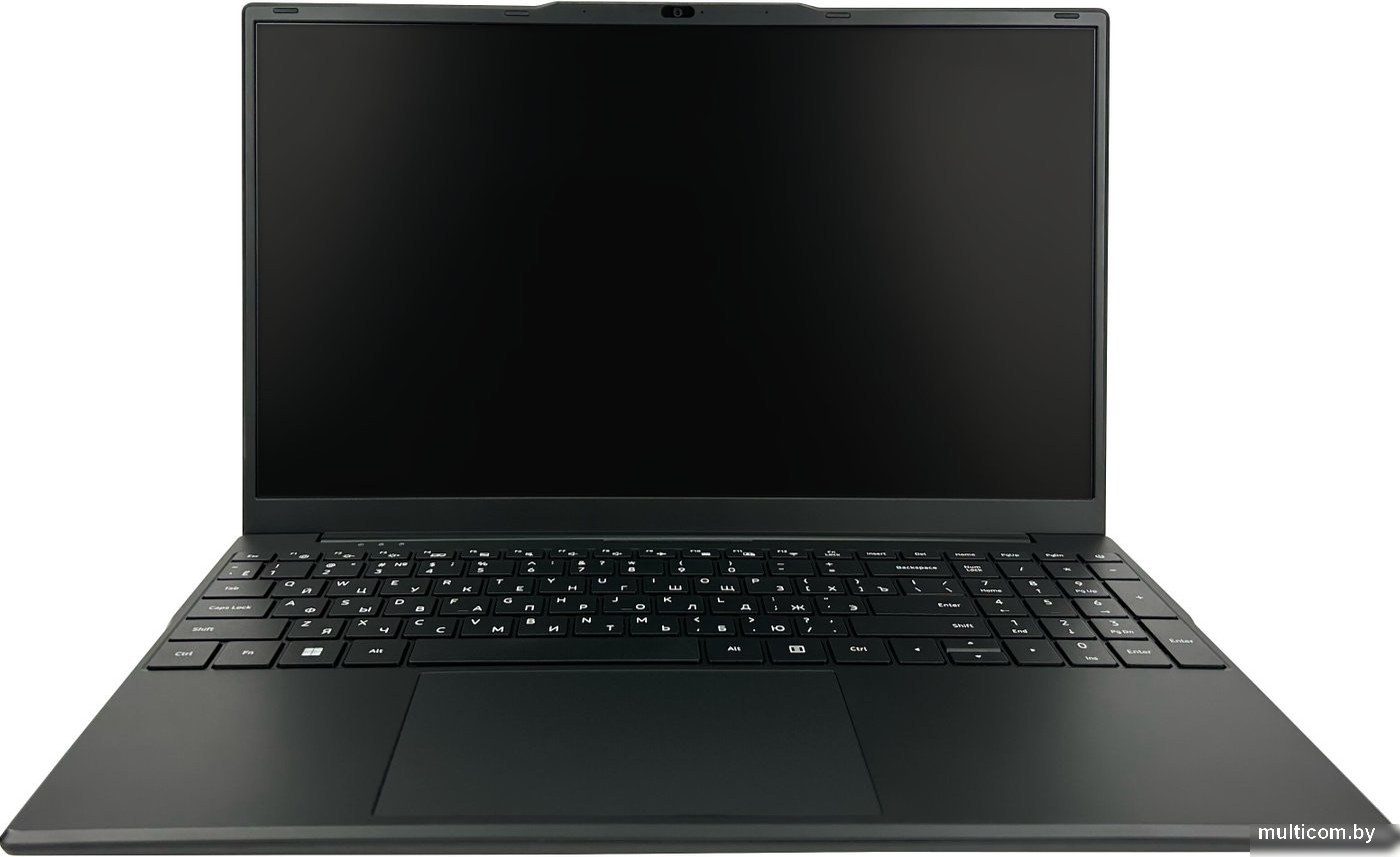 Ноутбук Hiper Workbook FWBC151-I512HR16N5FABWPG