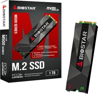 SSD BIOSTAR M500 1TB M500-1TB