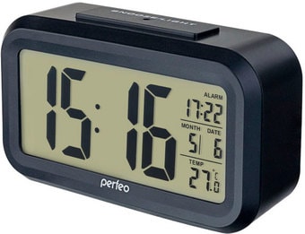 Радиочасы Perfeo Snuz PF-S2166 (черный)