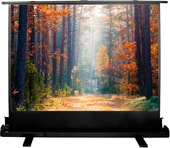 Проекционный экран CACTUS FloorExpert 135x180 CS-PSFLE-180х135