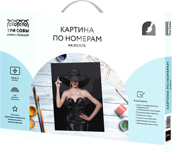 Картина по номерам Три совы Высокая мода КХ_44118