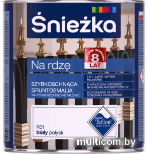 Грунт-эмаль Sniezka На ржавчину 0.65 мл (R07 темно-зеленый глянец)