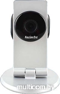 IP-камера Falcon Eye FE-ITR1300