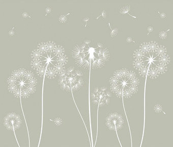 Фотообои Citydecor Одуванчик с защитным покрытием 300x254