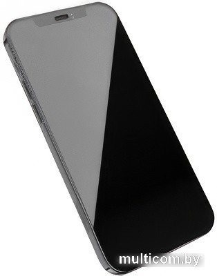 Защитное стекло Hoco A19 HD для iPhone 12 Pro Max (черный)