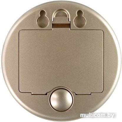 Косметическое зеркало Gezatone LM100 (золотистый)