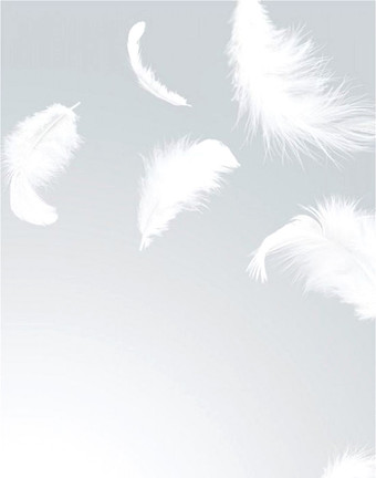 Фотообои Citydecor Перышки с защитным покрытием 200x254