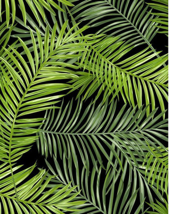 Фотообои Citydecor Тропические листья с защитным покрытием 200x254