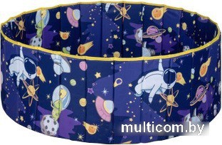 Сухой бассейн Shamsieva 35x100 (космос 1)