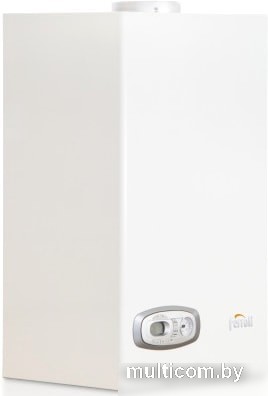 Отопительный котел Ferroli Divatech D HF32