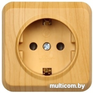 Розетка Smart Buy SBE-03lw-16-S1-Z