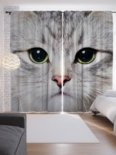 JoyArty Суровый котик p_2736