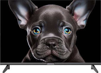 Телевизор Topdevice 24" OS SALUTE TV (черный)