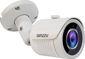 IP-камера Ginzzu HIB-2032S