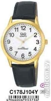 Наручные часы Q&Q C178J104