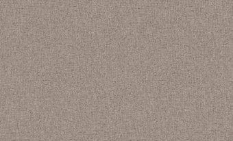 Виниловые обои Erismann Bolero 60192-06