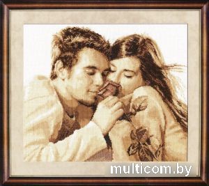 Набор для вышивания Алиса Влюбленные 4-12