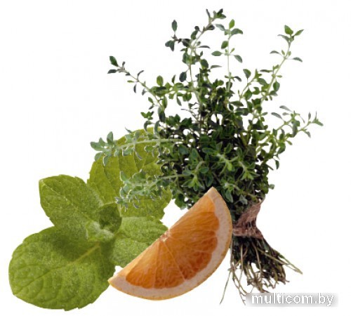 Гольфы компрессионные Aries Avicenum 140 тонкие с закрытым носком 9999 (M, long)