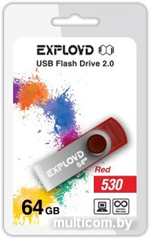 USB Flash Exployd 530 64GB (красный) [EX064GB530-R]