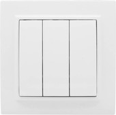 Выключатель EKF Basic Минск ERV10-024-10