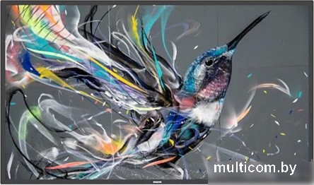 Информационная панель Philips 55BDL3511Q/00