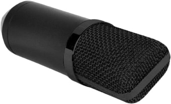 Микрофон Biema BM700