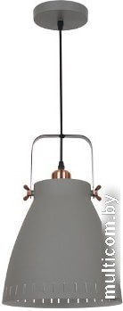 Лампа Camelion New York PL-428L (серый)