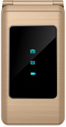 Мобильный телефон Ark Benefit V1 (золотистый)