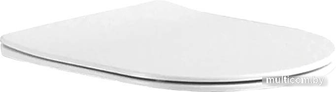 Сиденье для унитаза Aquatek AQ0009-00