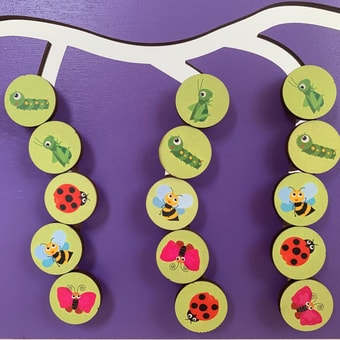 Сортер Paremo Насекомые PE720-122