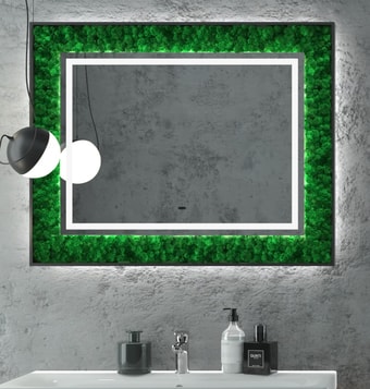 Мебель для ванных комнат Континент Зеркало Forest LED 100x80