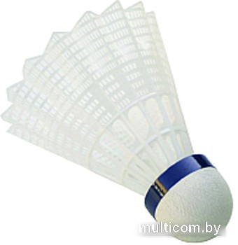 Набор воланчиков Babolat Practice 562005 (6 шт, белый)