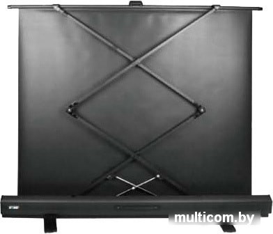 Проекционный экран CACTUS FloorExpert 113x200 CS-PSFLE-200X113