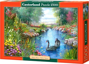Пазл Castorland Черные лебеди