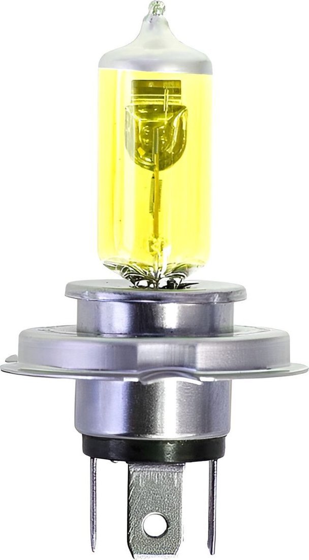 Автомобильная лампа Patron PLH4-60/55-LLSB2 (2шт)