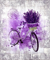 Картина Декарт 8Л3809