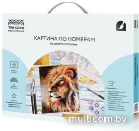 Картина по номерам Три совы Лев КХп_48149