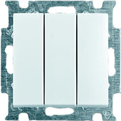 Выключатель ABB Basic 55 1012-0-2155