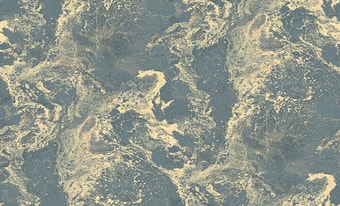 Виниловые обои Erismann Neochic 60134-05