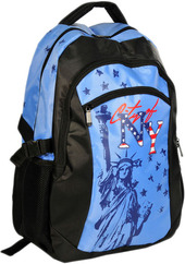 Рюкзак Paso 14-040NY
