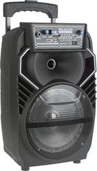 Мини-система Eltronic HX0813