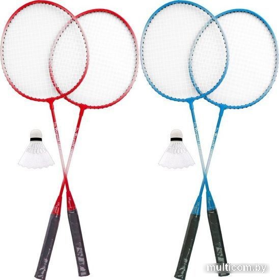 Теннис/бадминтон Darvish SR-S-26 (в ассортименте)