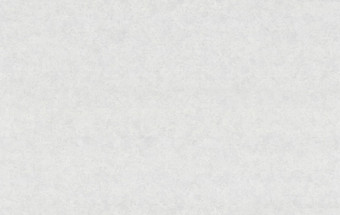 Виниловые обои Ateliero Belgrad-фон 58275-17