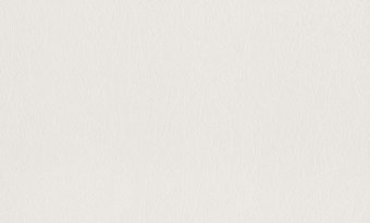 Флизелиновые обои Rasch 124514