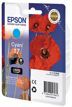 Картридж Epson C13T17024A10