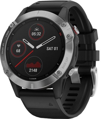 Умные часы Garmin Fenix 6 (серебристый/черный)