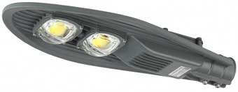 Уличный фонарь ЭРА SPP-5-100-5K-W