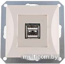 Розетка USB Timex OPAL OPBE-USB2 (бежевый)
